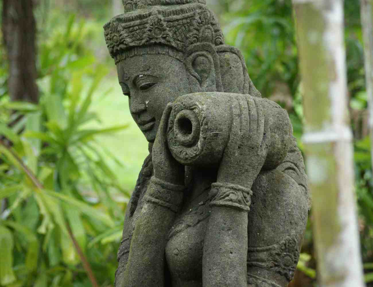 What to do in Cape Tribulation