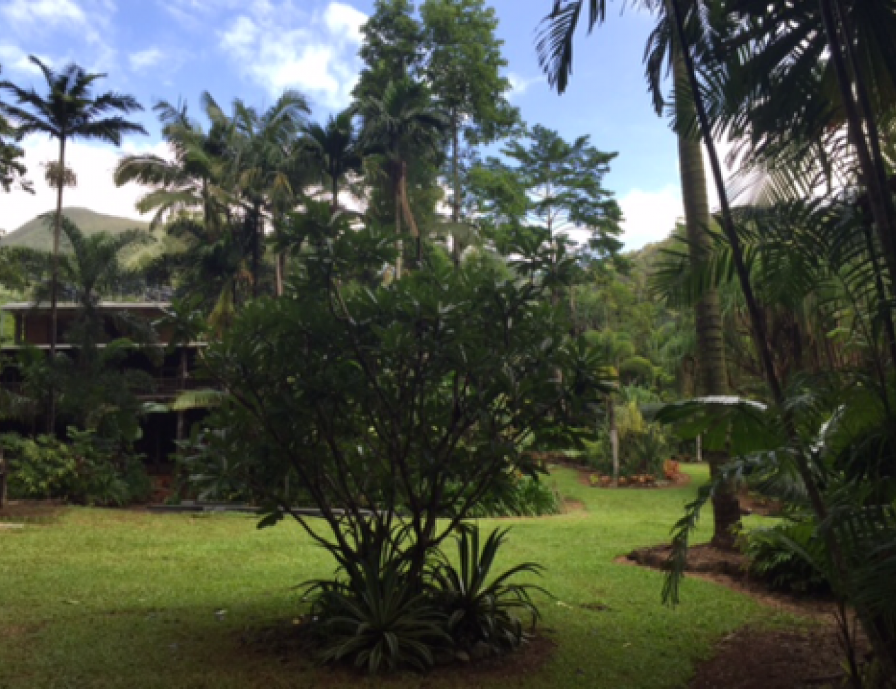 Villa Zena - Garden 002