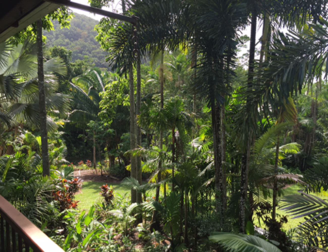 Villa Zena - Garden 003