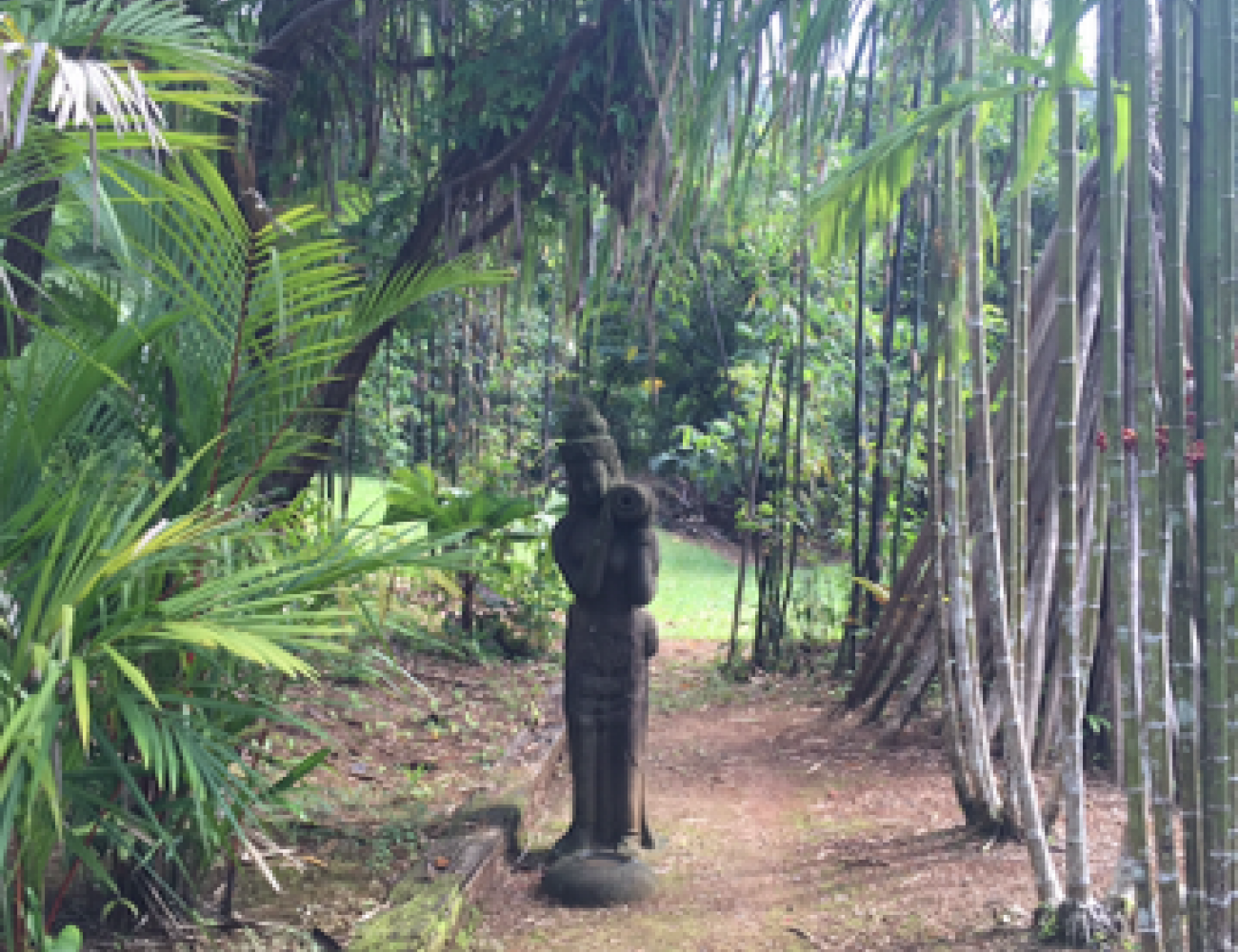 Villa Zena - Garden 010