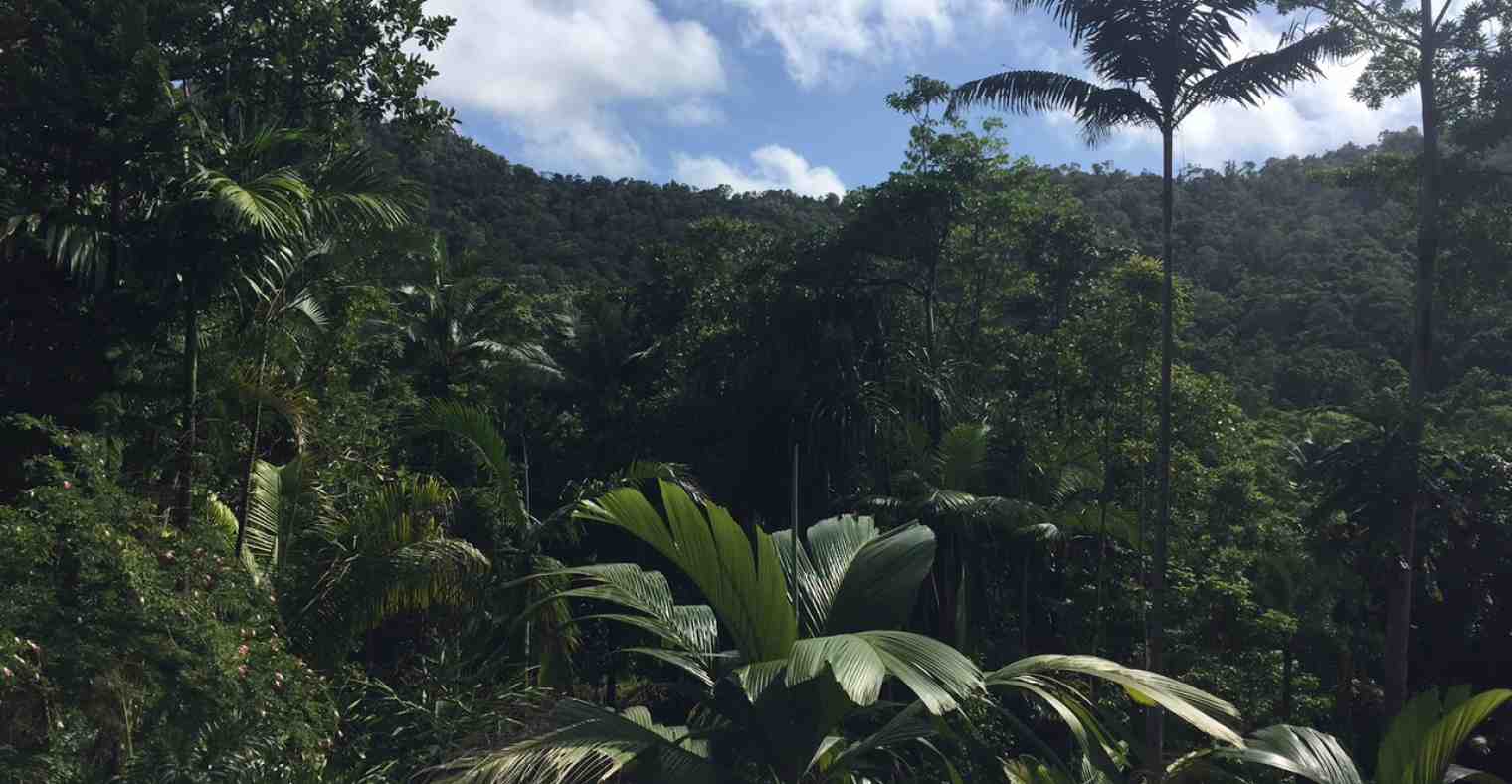 Mountain Room View